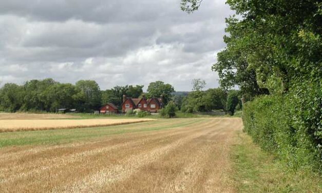 Weekend Walk: Reigate Heath to Ironsbottom (8.25 miles)