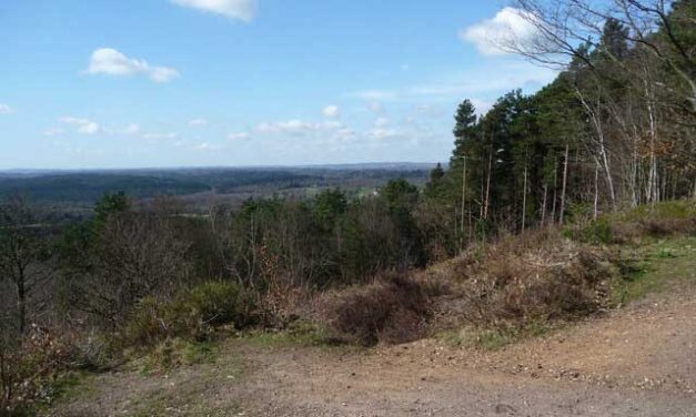 Weekend Walk: Tilford to Elstead (9.5 miles)