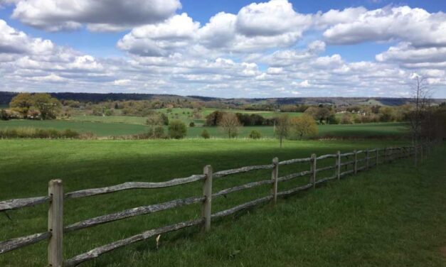 Weekend Walk: Peaslake Circular (4.5 miles)