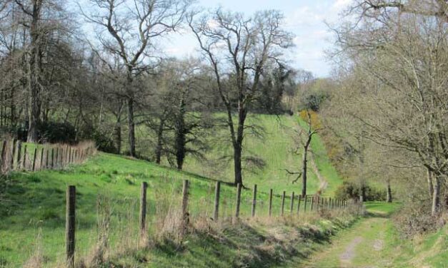 Weekend Walk: Milford to Brook (8.5 miles)