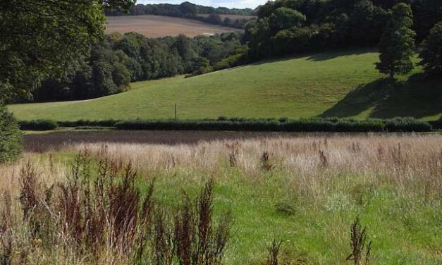 Weekend Walk: Chawton to Bentworth (10 miles)