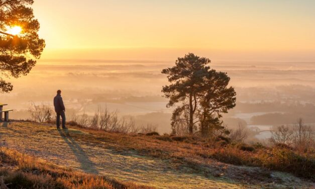 Weekend Walk: Leith Hill Woodland Walk (2.5 miles)