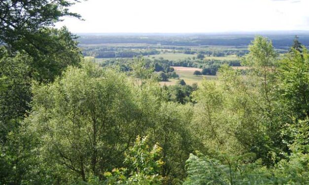 Weekend Walk: Dunsfold to Hascombe (5.5 miles)