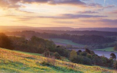 Our enterprising Surrey Hills