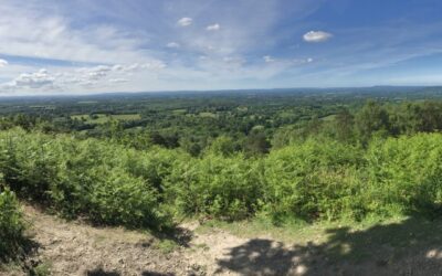 Weekend Walk: Holmbury and Pitch Hills (6.5 miles)