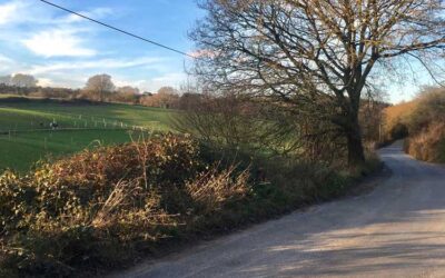 Busbridge to Dunsfold Road Cycle