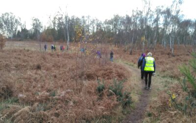 Walking for Health