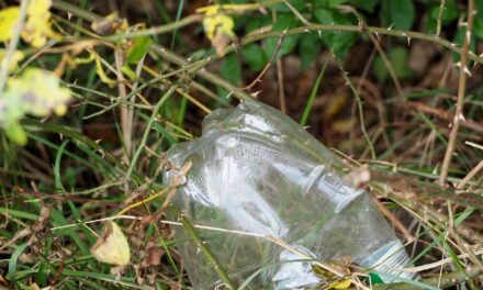 More Ideas for Using Less Plastic in the Garden with Beth Otway