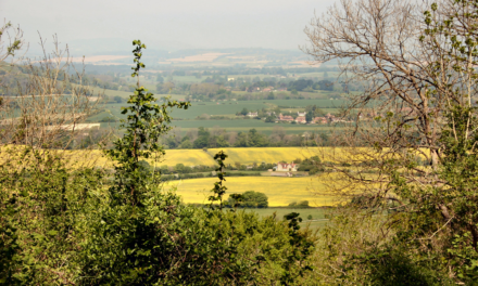 Weekend Walk: Bignor Hill and Houghton Forest (5.5 miles)