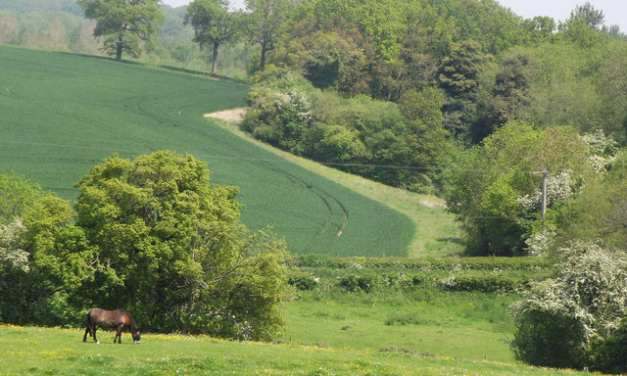 Weekend Walk: Farnham to Crondall (9 miles)