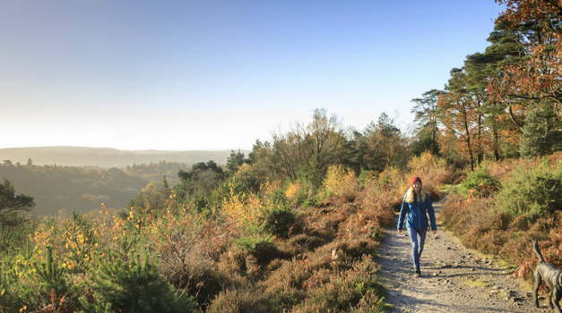 Weekend Walk: Hidden Hindhead Walking Trail (3.1 miles)