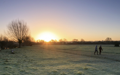 How walking in nature can help wellbeing
