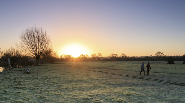 How walking in nature can help wellbeing