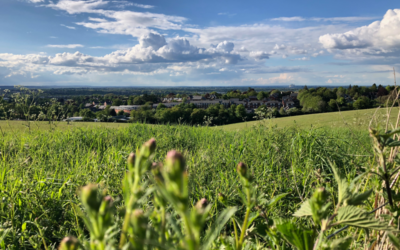 Local community save rare chalk grassland habitat for wildlife
