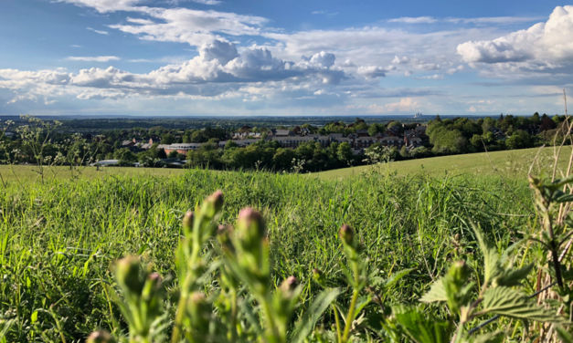 Local community save rare chalk grassland habitat for wildlife