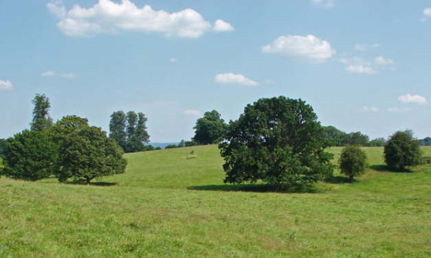 Weekend Walk: Puttenham to Compton (4 miles)