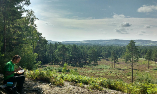 Weekend Walk: Midhurst, Stedham and Iping Commons (5.5 miles)