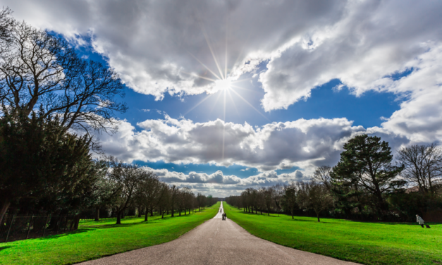 Weekend Walk: Windsor Great Park (5.1 and 3.5 miles)