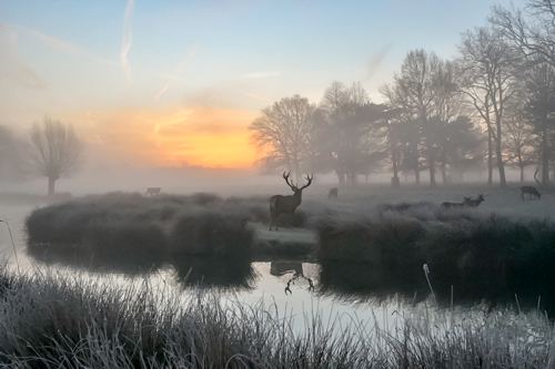 Wild Surrey Artist and Photographer of the Year 2022 Open for Entries
