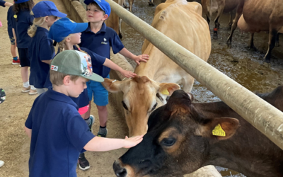 School trip blending wildlife and farming now available to primary pupils, says CRT