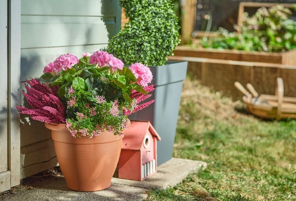 The top 10 outdoor plants for spring & how to style them