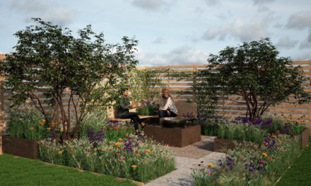 Local business wins grant to fully fund their first show garden at Hampton Court Flower Show