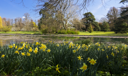 Spring colour at National Trust gardens around Hampshire