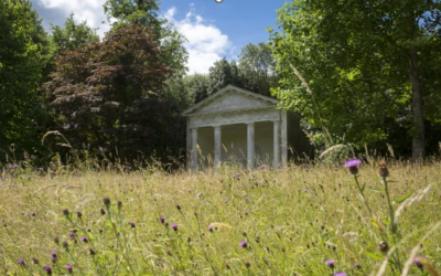 Summer garden highlights with the National Trust in Surrey and Sussex