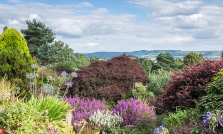 August gardens open for the National Garden Scheme in West Sussex