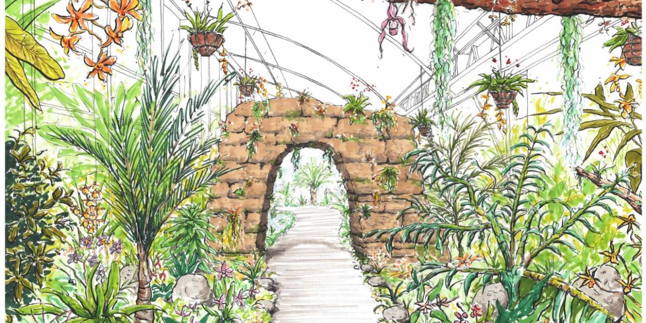RHS Garden Wisley reveals plans for new Orchid House