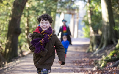 Top places for winter walks with the National Trust in Sussex