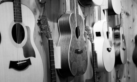 How to start a Musical Instrument Store Business