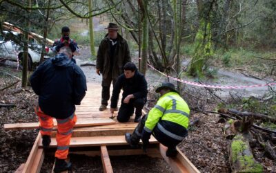 Continuing collaboration in Surrey to conserve and provide better access to nature