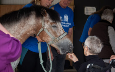 ‘Tea with a Pony’ for people living with dementia