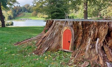 Family Fairy Door Trail returns to Painshill