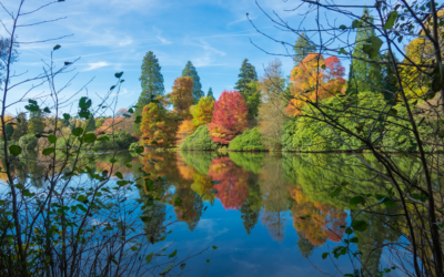 Top days out this autumn with the National Trust in Sussex