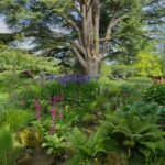 By Arrangement gardens with the National Garden Scheme