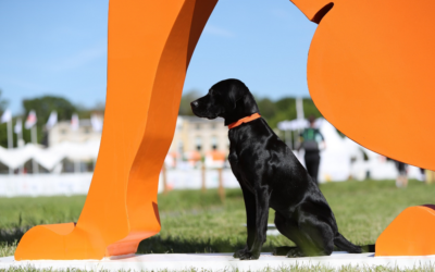 Win one of three pairs of tickets to Goodwoof at Goodwood in May