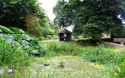 Summer Gardens Raise Hospice Care Funds