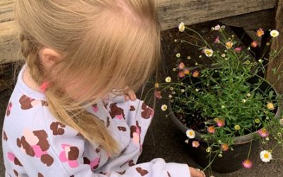 National Garden Scheme Gardens open in August in West Sussex