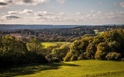 Hampton Estate invites sustainable businesses to Pitch Up! 2025