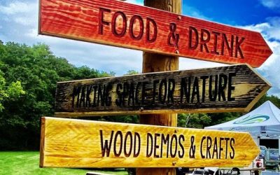 Surrey Hills Wood Fair – a weekend of countryside fun for all the family – save 15% with VantagePoint!