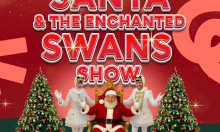 Win a family ticket to see Santa and the Enchanted Swans at Birdworld