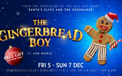 Win a pair of tickets to see The Gingerbread Boy at Dorking Halls
