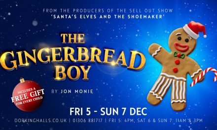 Win a pair of tickets to see The Gingerbread Boy at Dorking Halls