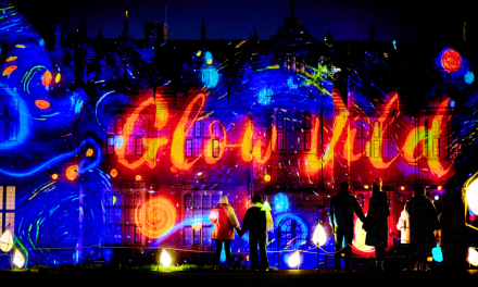Win a family ticket or three adult tickets to Wakehurst Glow Wild
