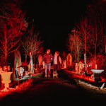 Win a family ticket to the opening night of Halloween at Kenwood on Monday 17th November