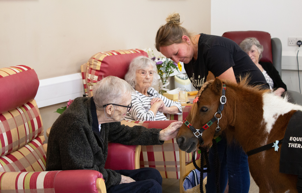 Rethink your perception of Hospice Care