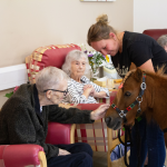Rethink your perception of Hospice Care