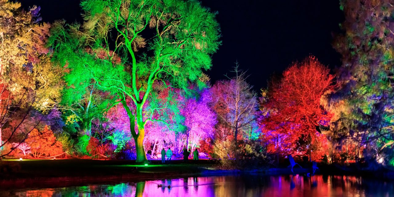 Win a family ticket to RHS Glow at Wisley